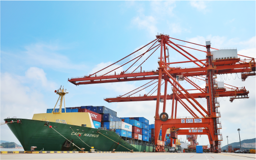 Z6尊龙凯时状元岙港务分公司